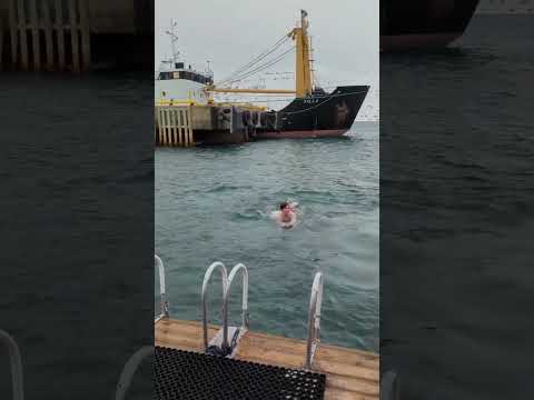 Just Keep Swimming In the Arctic