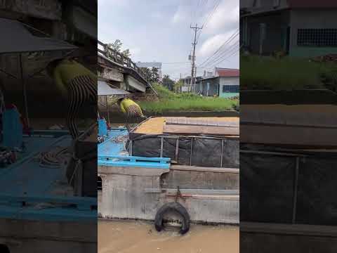 Ghe chở lúa qua Cống.