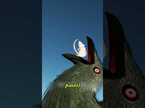لماذا يبتلع الطائر الحجارة الحادة؟😮😥🤔