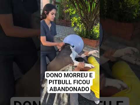 AINDA BEM QUE TEM PESSOAS BOAS 🤙