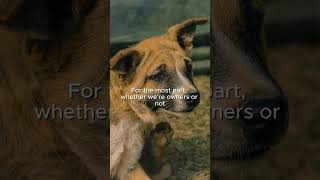 "Reading Dogs Reading Us"—Alexandra Horowitz