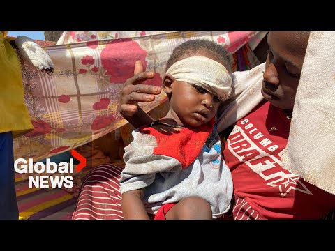YouTube video thumbnail: Famine Declared in 2 Regions of war-Torn Sudan, Hunger Monitor Says