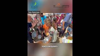 В жаркий июнь жителям Газы раздали горячие блюда от имени кыргызского народа.