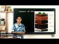 Soil Composition and Formation Concepts