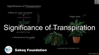 Significance of Transpiration