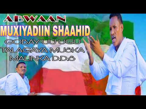 MUXYADIIN SHAAHID ~ GABAYGII CALANKA .D.D.S. ~ 2025 OFFICIAL VIDEO