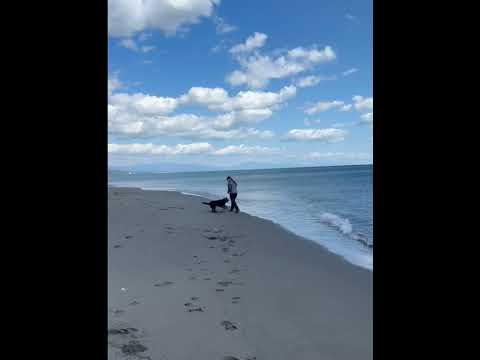click to play the video