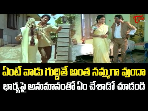 ఎంటే వాడు గుద్దుతే అంత సమ్మగావుందా..? Actor Rajendra Prasad Hit Comedy Scenes | Navvula TV