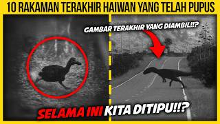 10 RAKAMAN TERAKHIR HAIWAN YANG TELAH PUPUS