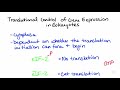 Translation and Post-Translational Control