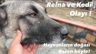 KÖYDE YAŞAMAK KOLAY DEĞİL BUDA ONUN BİR PARÇASI