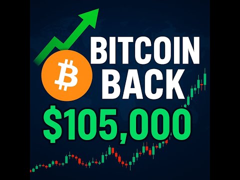 Bitcoin just bounced from under $100K back to $105K–106K in 24 hours—what triggered the rebound?