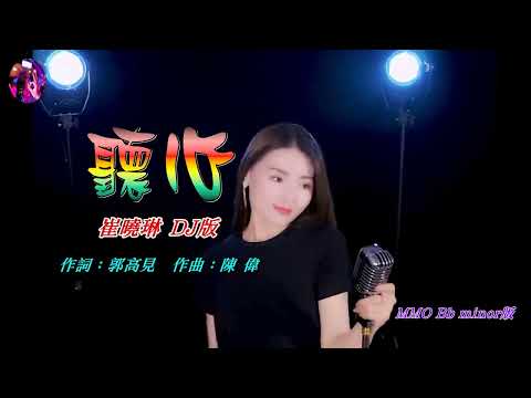 聽心〈華語〉崔曉琳〈MMO Bb minor DJ版〉