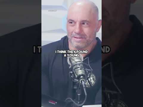 Joe Rogan gets suspicious of a BRAZILIAN donor👀🇧🇷#joerogan #tomsegura #shorts