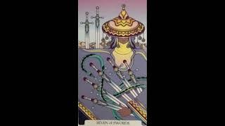 August 23, 2026 -Tarot Card of the Day