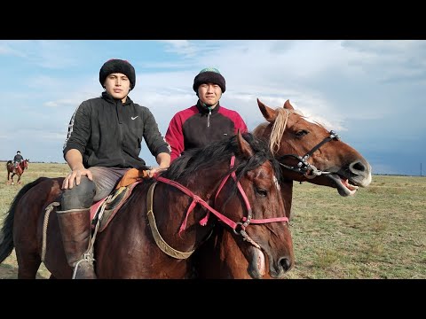 Караганды Шахтинск Диа́с Кокпар!