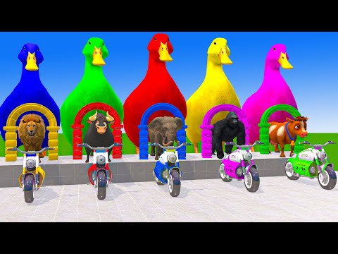 Long Slide Game With Elephant Gorilla Buffalo Hippopotamus Tiger - 3d Animal Game - Funny 3d Animals