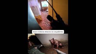 esse caçador foi obrigado at!rar nessa criatura para nao ser atacado
