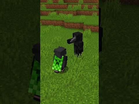 NO DEJES QUE ESTE MOB TE CURE EN Minecraft