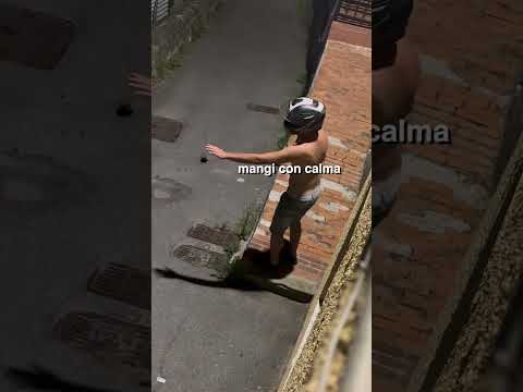 QUELLA VOLTA IN CUI CI IMBATTEMMO IN UN CINGHIALE