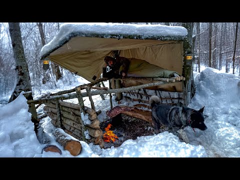 3 Days WINTER CAMPING in Blizzard With My Dog.  -12° WILDERNESS SURVIVAL. Snowstorm Bushcraft ASMR