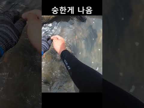겁나 숭헌거시 나와븟당께 구멍치기!