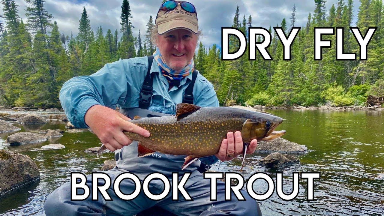 Ultimate Labrador Brook Trout Fishing - The New Fly Fisher