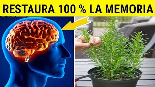 Esta Planta CURA la Memoria al 100%🌳 Protege tu Cerebro del Alzheimer, Depresión y Más