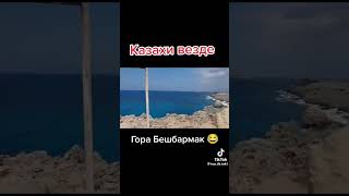 26 мая 2025 г.