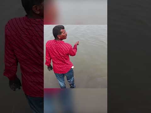 No Boat? No Money? No Problem! My Rooftop Mullet Trap Works! (relatable struggle) #handfish #fishing