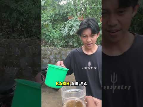 kerjain mas preman#shorts #minivlog #bocilwargads #masalfinnn