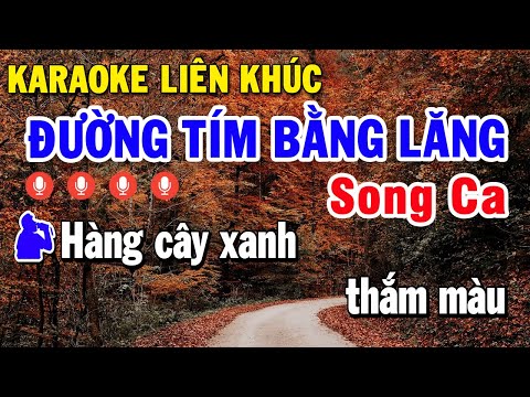 Liên khúc Karaoke Song Ca Đạt 100 Triệu View – Nỗi Tiếng Nhất Hiện Nay | Đường Tím Bằng Lăng