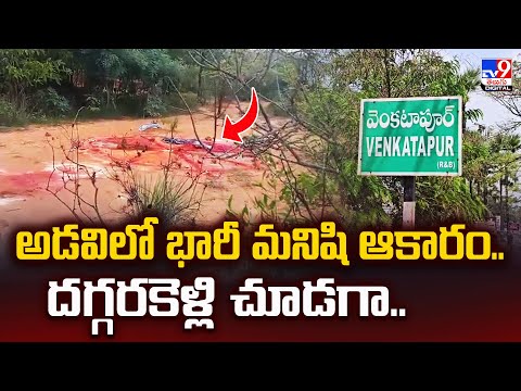 అడవిలో భారీ మనిషి ఆకారం..దగ్గరకెళ్లి చూడగా.. - TV9