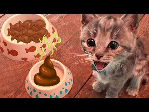 Little Kitten Adventures - Play Cute Little Kitten Learn Color Shapes, Mazes, Dress Up Party Games