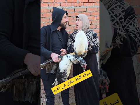 سرقه البط حلال في العيد🐤🐤