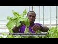 Aquaponics System Knowledge Assessment
