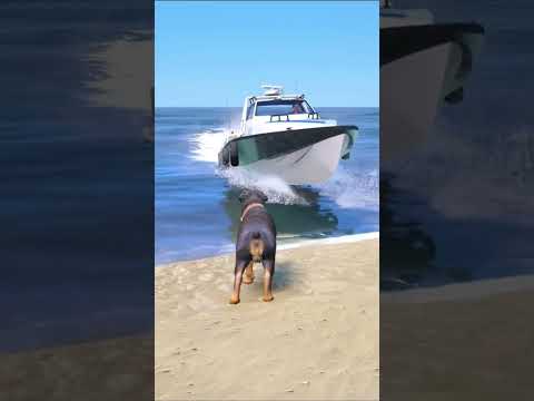 DOG TEACH US TRUE MEANING OF LOVE ? | #gta5 #shorts #cartoon #love