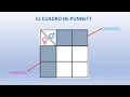 Cuadro de Punnett y Genética