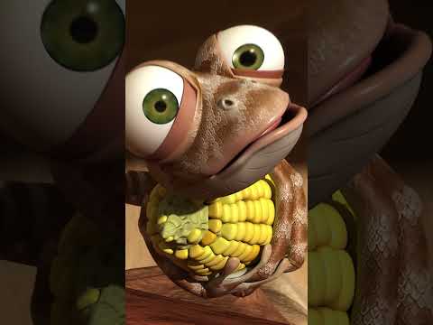 All For The Love of Corn #oscarsoasis #cartoon #official