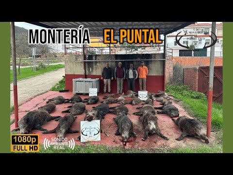 MONTERÍA EL PUNTAL 2024 | C.D. MONTEROS DE POZOBLANCO #252