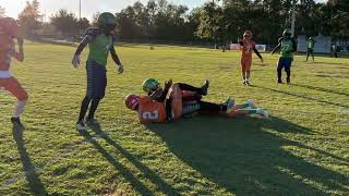 Nov 23 2024 14U (1st Round Playoffs) SEFFNER SEAHAWKS vs PLANT CITY DOLPHINS