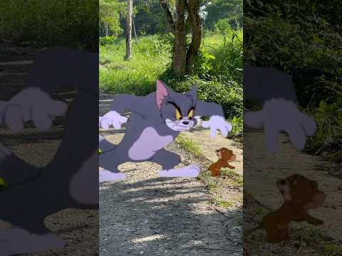 Tom y Jerry están en la vida real😱