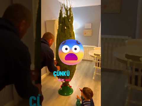 Bu Noel ağacı çok güzel! 🎄✨