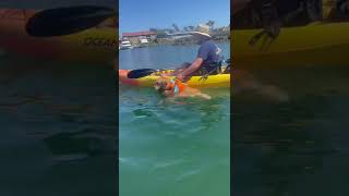 Expectation VS Reality for taking a golden retriever to kayak