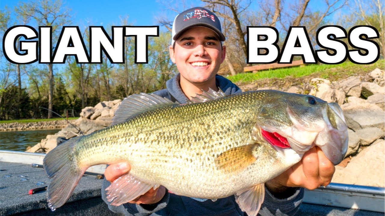 Fishing Crankbaits for GIANT Bass