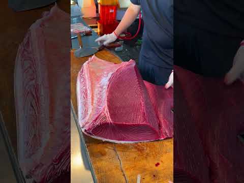 The Secret to Perfect Otoro Sashimi: Bloodline Removal! ๐ช๐ #otoro #bluefintuna #sashimi