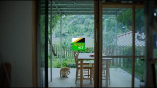 Film Simulation - REALA ACE Promotional Video/ FUJIFILM