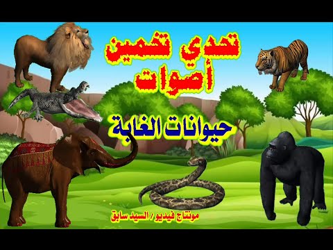 أتحداك هل يمكنك تخمين صوت الحيوان 🔊تحدي تخمين 20 أصوات حيوانات الغابة 🤯 للكبار والصغار#animal_sounds