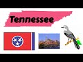 Tennessee Geography and Symbols