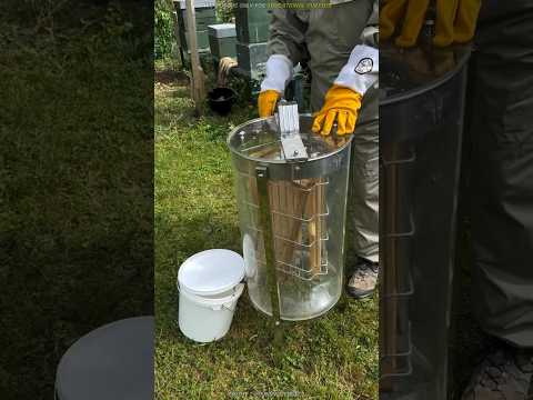 This is how Honey gets Extract 🍯